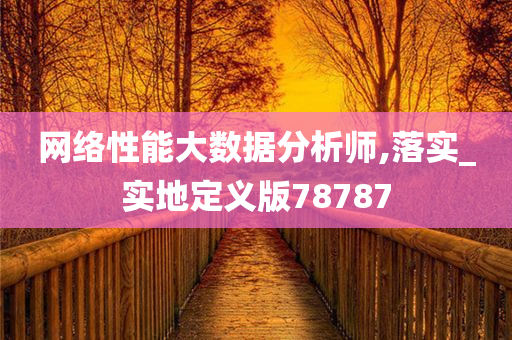 网络性能大数据分析师,落实_实地定义版78787