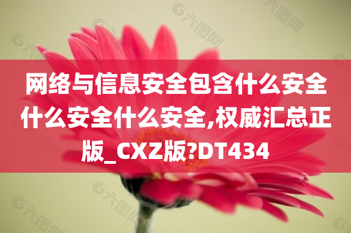 网络与信息安全包含什么安全什么安全什么安全,权威汇总正版_CXZ版?DT434