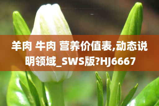 羊肉 牛肉 营养价值表,动态说明领域_SWS版?HJ6667