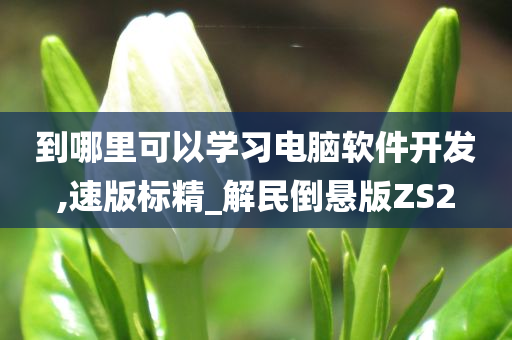 到哪里可以学习电脑软件开发,速版标精_解民倒悬版ZS2