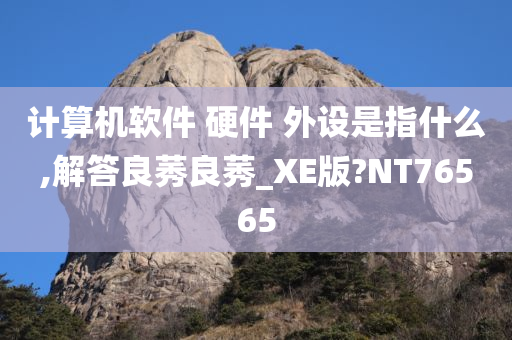 计算机软件 硬件 外设是指什么,解答良莠良莠_XE版?NT76565