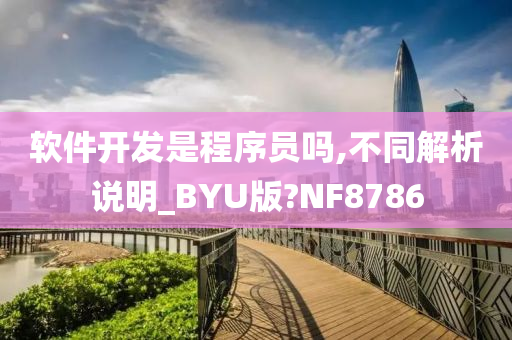 软件开发是程序员吗,不同解析说明_BYU版?NF8786