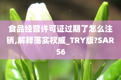 食品经营许可证过期了怎么注销,解释落实权威_TRY版?SAR56