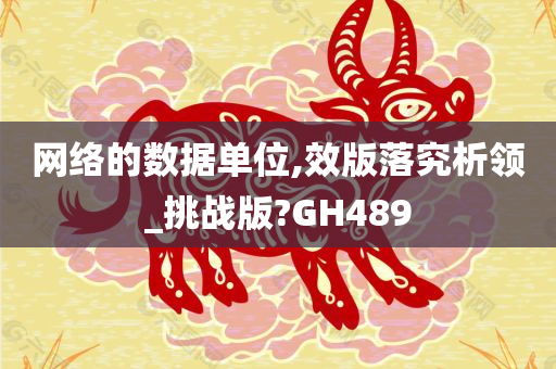 网络的数据单位,效版落究析领_挑战版?GH489