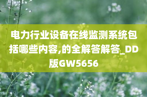 电力行业设备在线监测系统包括哪些内容,的全解答解答_DD版GW5656