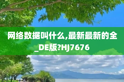 网络数据叫什么,最新最新的全_DE版?HJ7676