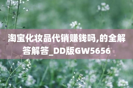 淘宝化妆品代销赚钱吗,的全解答解答_DD版GW5656