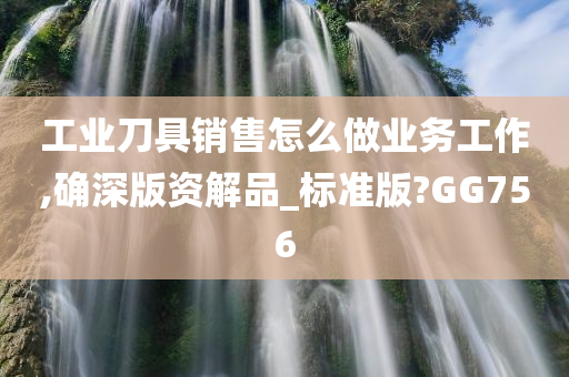 工业刀具销售怎么做业务工作,确深版资解品_标准版?GG756