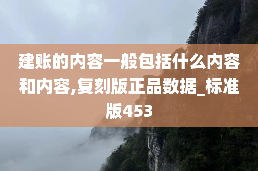 建账的内容一般包括什么内容和内容,复刻版正品数据_标准版453