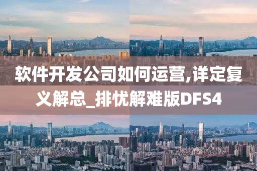 软件开发公司如何运营,详定复义解总_排忧解难版DFS4