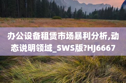 办公设备租赁市场暴利分析,动态说明领域_SWS版?HJ6667