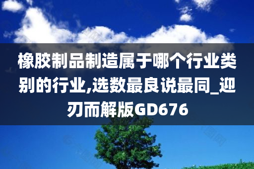 橡胶制品制造属于哪个行业类别的行业,选数最良说最同_迎刃而解版GD676