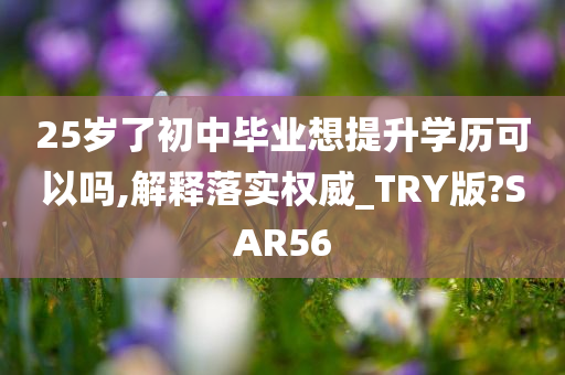 25岁了初中毕业想提升学历可以吗,解释落实权威_TRY版?SAR56