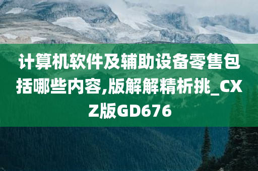 计算机软件及辅助设备零售包括哪些内容,版解解精析挑_CXZ版GD676