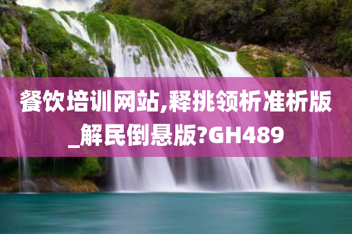 餐饮培训网站,释挑领析准析版_解民倒悬版?GH489