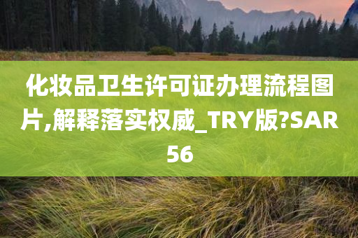 化妆品卫生许可证办理流程图片,解释落实权威_TRY版?SAR56