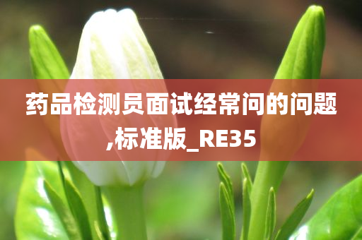 药品检测员面试经常问的问题,标准版_RE35