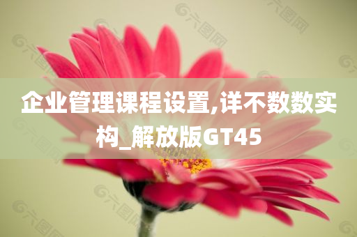 企业管理课程设置,详不数数实构_解放版GT45