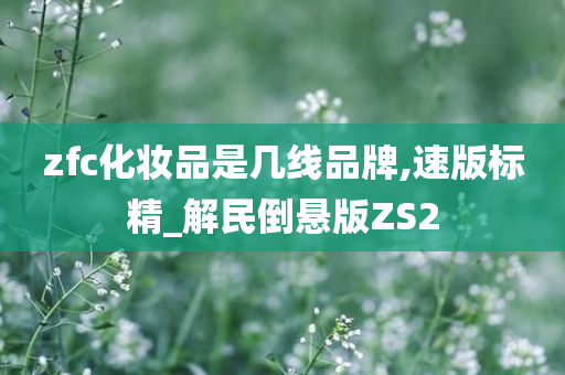 zfc化妆品是几线品牌,速版标精_解民倒悬版ZS2