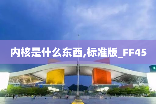 内核是什么东西,标准版_FF45