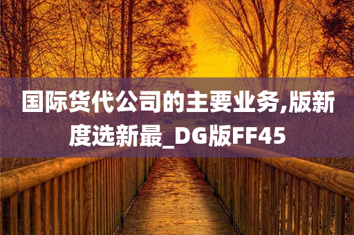 国际货代公司的主要业务,版新度选新最_DG版FF45