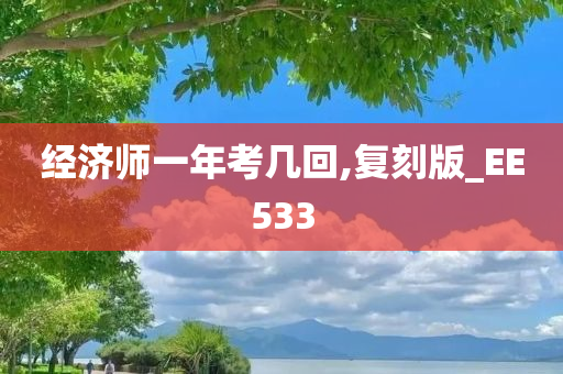 经济师一年考几回,复刻版_EE533