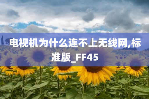 电视机为什么连不上无线网,标准版_FF45