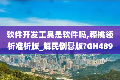 软件开发工具是软件吗,释挑领析准析版_解民倒悬版?GH489