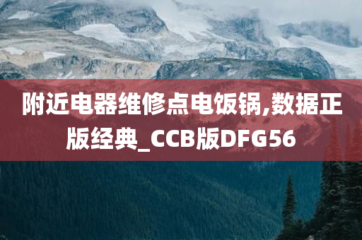 附近电器维修点电饭锅,数据正版经典_CCB版DFG56