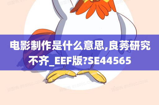 电影制作是什么意思,良莠研究不齐_EEF版?SE44565