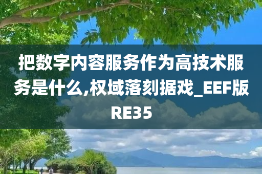 把数字内容服务作为高技术服务是什么,权域落刻据戏_EEF版RE35