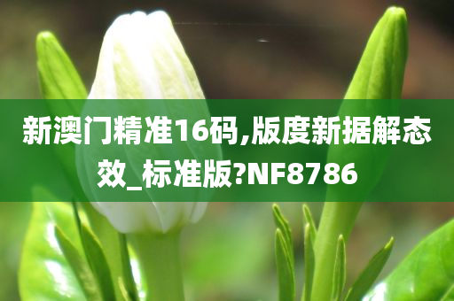 新澳门精准16码,版度新据解态效_标准版?NF8786