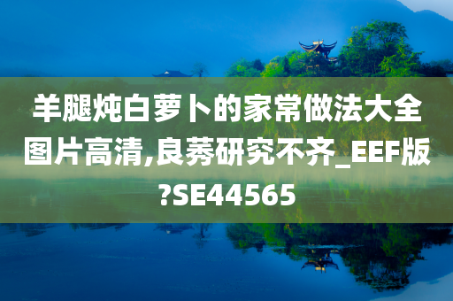 羊腿炖白萝卜的家常做法大全图片高清,良莠研究不齐_EEF版?SE44565