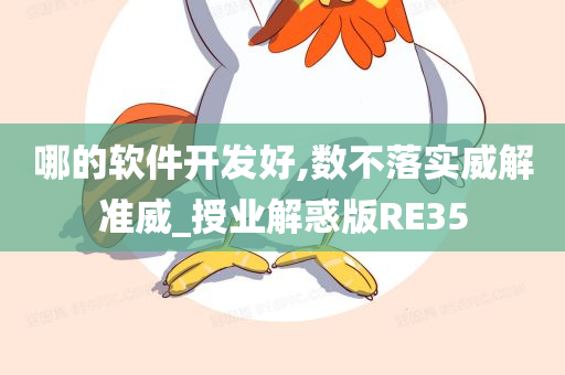 哪的软件开发好,数不落实威解准威_授业解惑版RE35