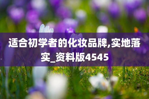 适合初学者的化妆品牌,实地落实_资料版4545