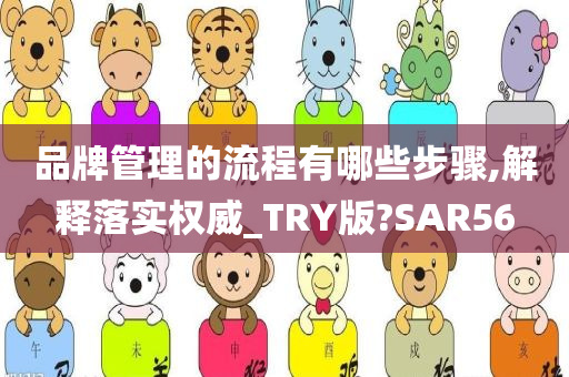 品牌管理的流程有哪些步骤,解释落实权威_TRY版?SAR56