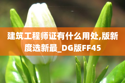 建筑工程师证有什么用处,版新度选新最_DG版FF45