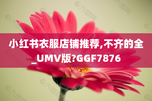 小红书衣服店铺推荐,不齐的全_UMV版?GGF7876