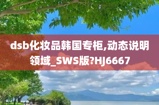 dsb化妆品韩国专柜,动态说明领域_SWS版?HJ6667