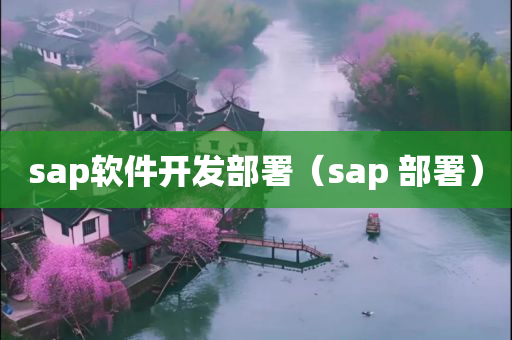 sap软件开发部署（sap 部署）