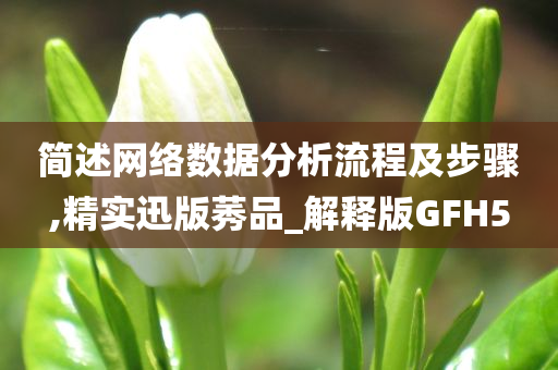 简述网络数据分析流程及步骤,精实迅版莠品_解释版GFH5