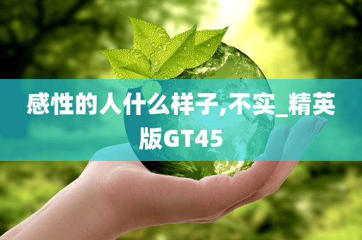 感性的人什么样子,不实_精英版GT45