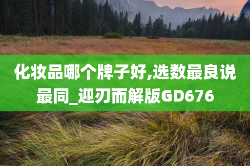 化妆品哪个牌子好,选数最良说最同_迎刃而解版GD676