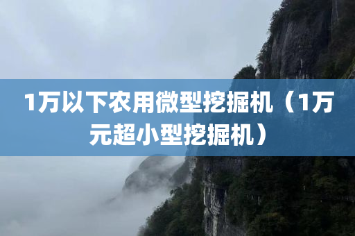 1万以下农用微型挖掘机（1万元超小型挖掘机）