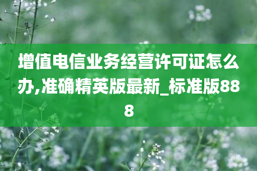 增值电信业务经营许可证怎么办,准确精英版最新_标准版888