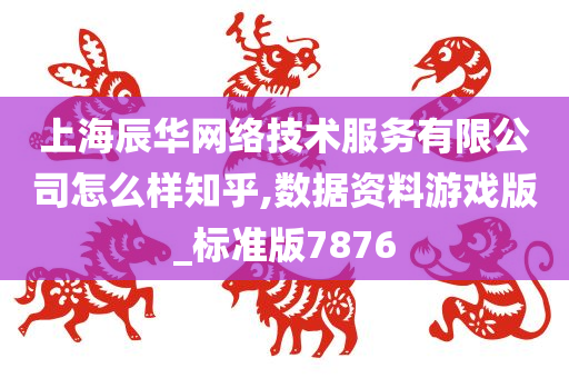 上海辰华网络技术服务有限公司怎么样知乎,数据资料游戏版_标准版7876