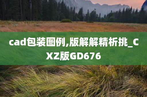 cad包装图例,版解解精析挑_CXZ版GD676