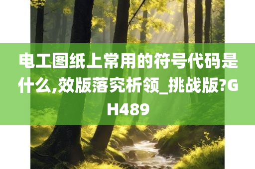 电工图纸上常用的符号代码是什么,效版落究析领_挑战版?GH489