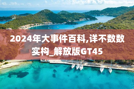 2024年大事件百科,详不数数实构_解放版GT45