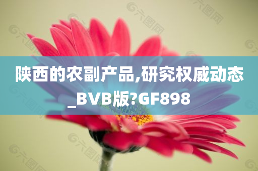 陕西的农副产品,研究权威动态_BVB版?GF898